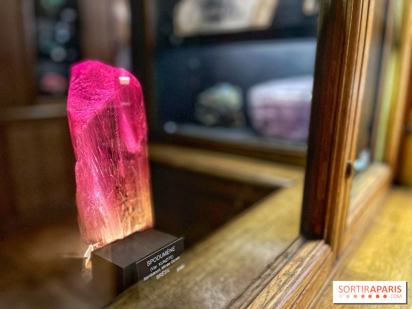 Musée de Minéralogie - IMG 5885