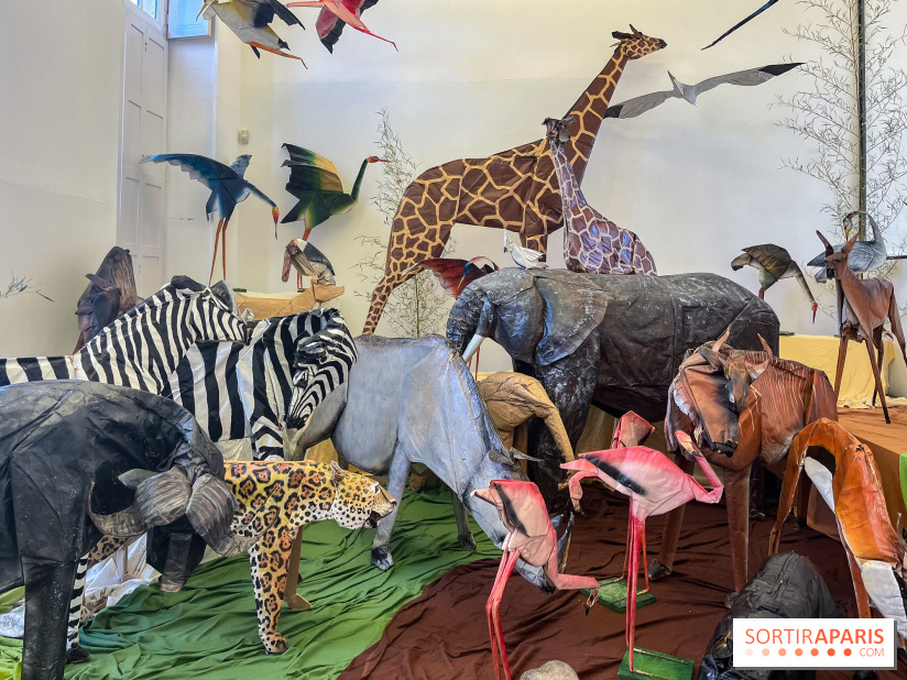 La faune en plis - nos photos - image00025