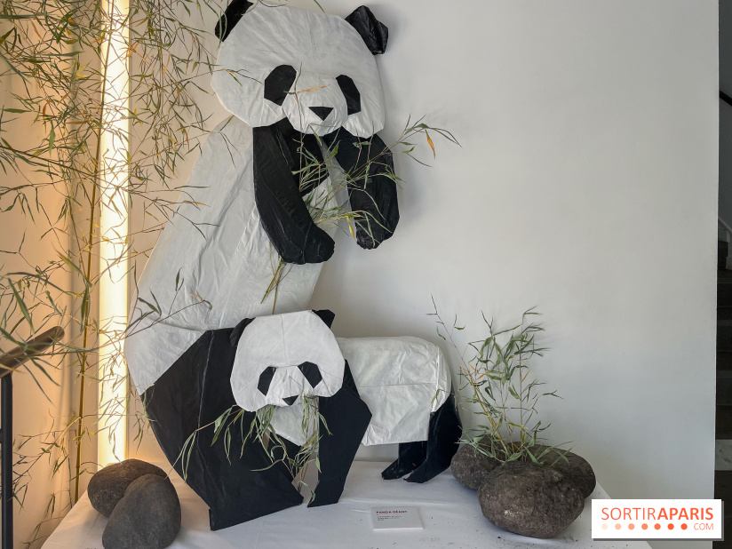 La faune en plis - nos photos - image00021