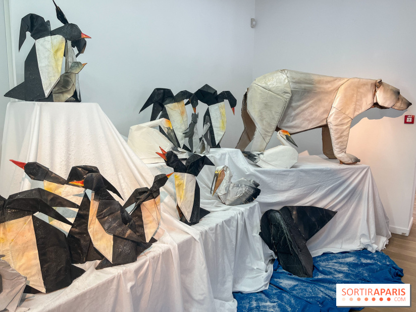 La faune en plis - nos photos - image00019