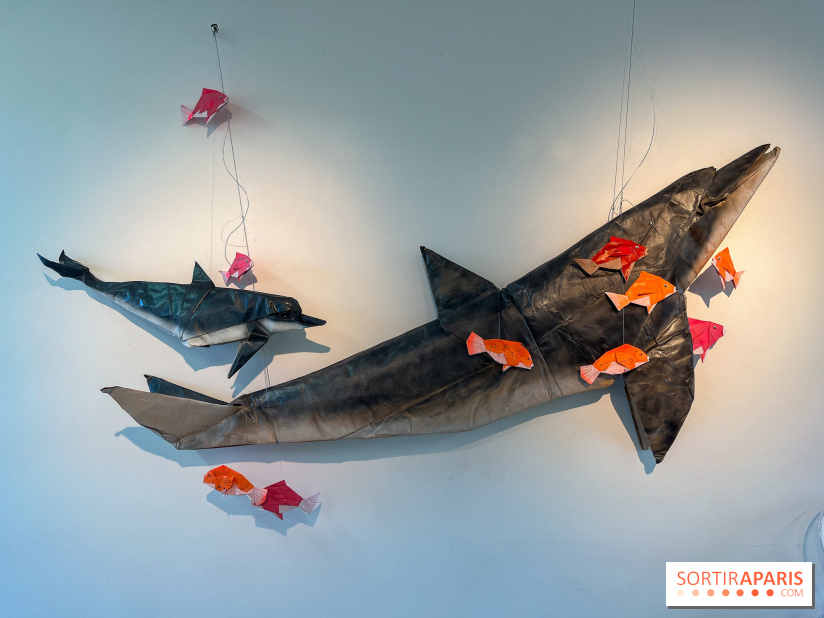 La faune en plis - nos photos - image00015