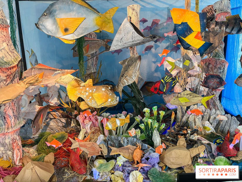 La faune en plis - nos photos - image00012