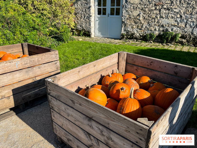 La Fête de la Citrouille - nos photos - image00031