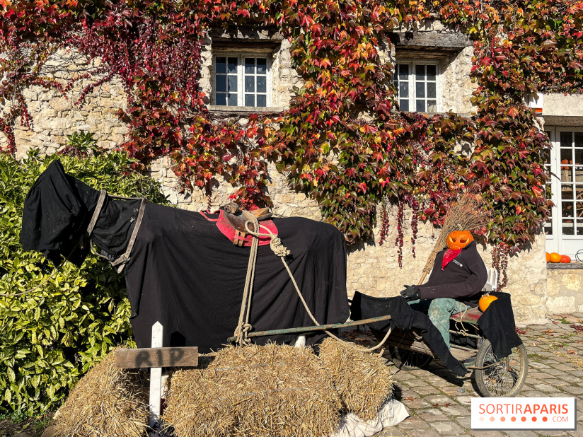La Fête de la Citrouille - nos photos - image00016