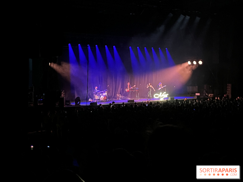 Concert de Lindsey Stirling  - IMG 5969