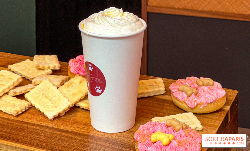 Le Doggy Brunch : le brunch gourmand entre chiens et maîtres à l'hôtel Kimpton Saint Honoré Paris - image00060