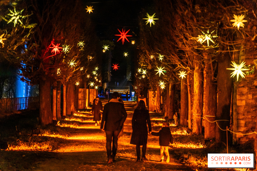 Lumières en Seine 2024, le parcours de lumières féérique et animé - A7C6590