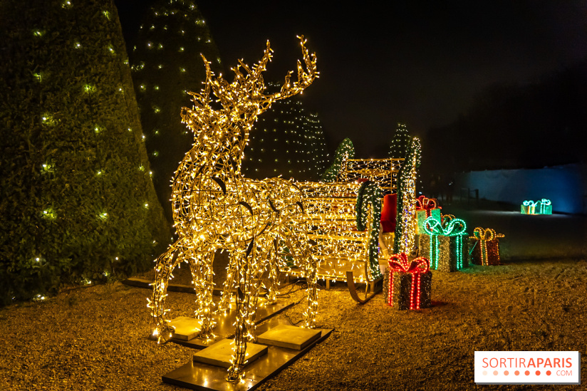 Lumières en Seine 2024, le parcours de lumières féérique et animé - A7C6686