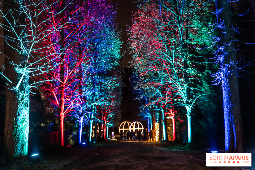 Lumières en Seine 2024, le parcours de lumières féérique et animé - A7C6741