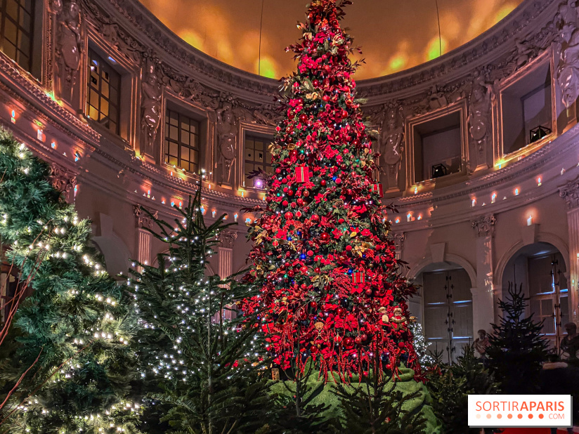 Noël 2024 au Château de Vaux-le-Vicomte : une expérience magique avec une patinoire