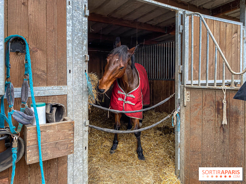 Domaine de Maffliers : notre test de l'escapade champêtre et équestre by Demeures de Campagne - IMG 1370