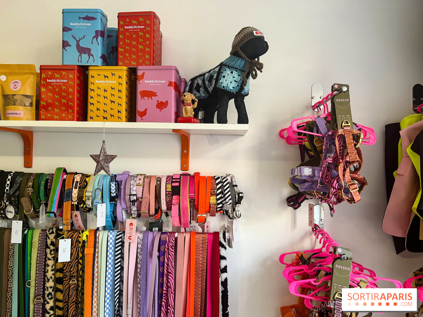 CAYU Canidés Club, la boutique d'accessoires dog friendly - nos photos
