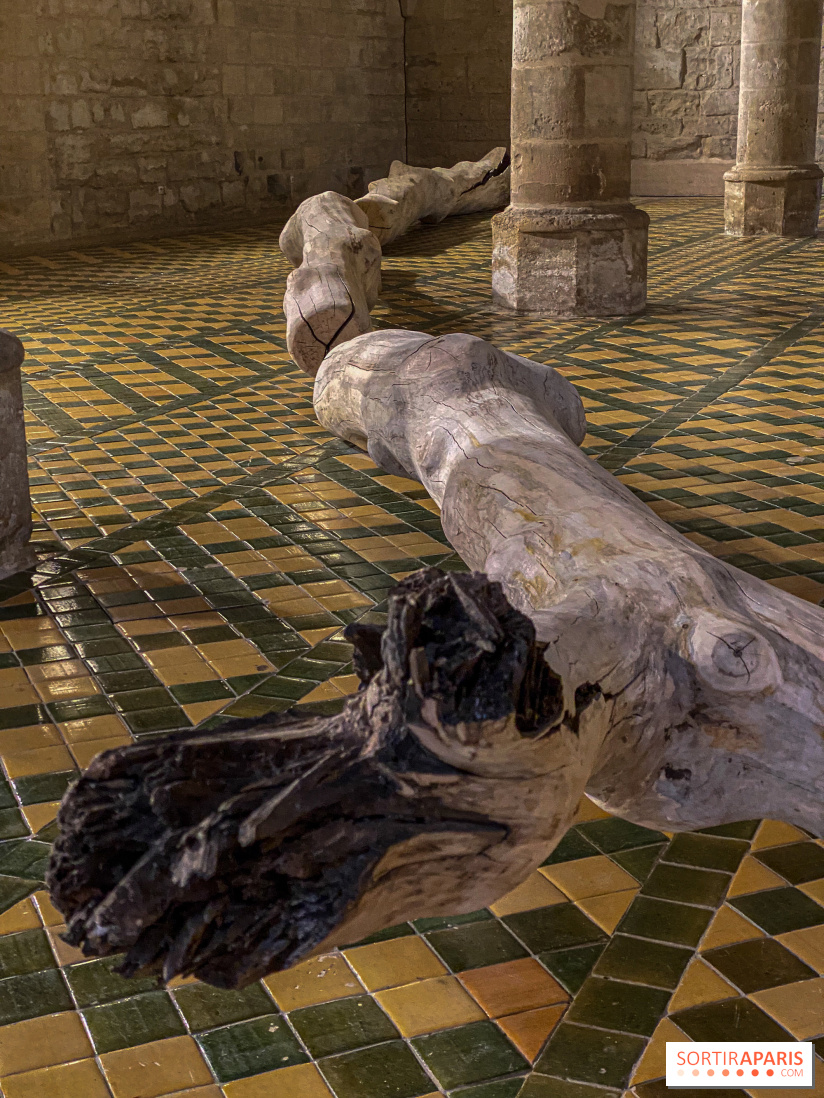 En deçà de l’invisible : Cécile Beau et Grégoire Scalabre s'exposent à l'Abbaye de Maubuisson - IMG 1503