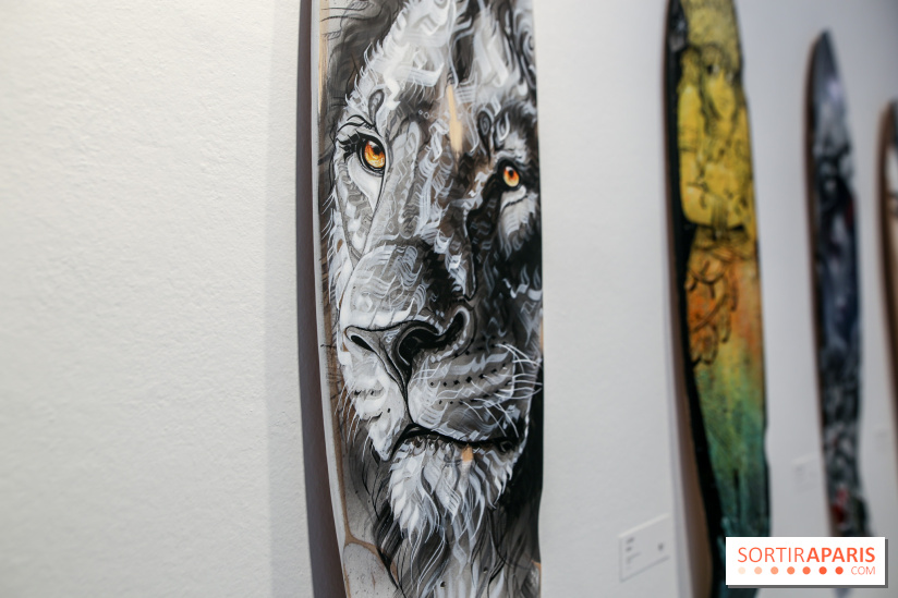 Boards to be solidaire 2024, nos photos - IMG 6875