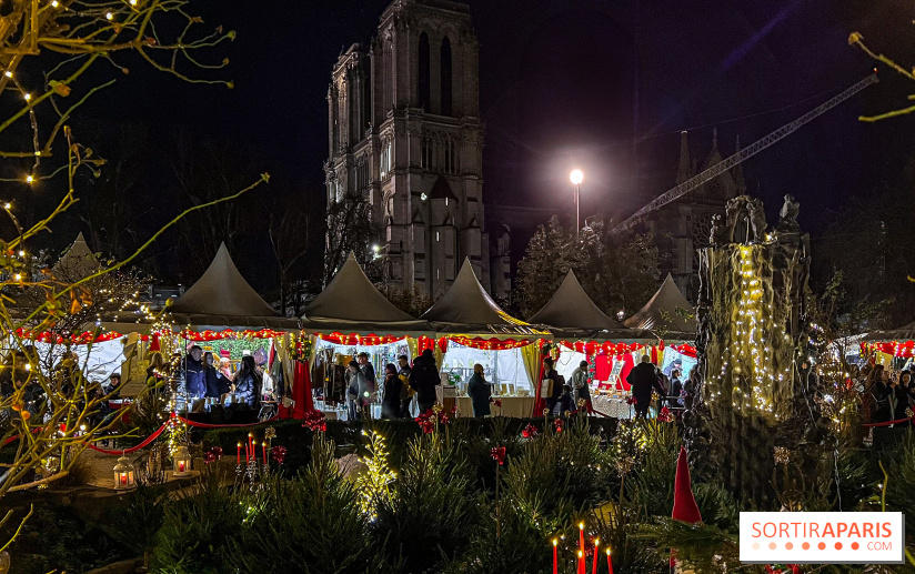 Le Marché de Noël de Notre Dame - IMG 2783 jpg