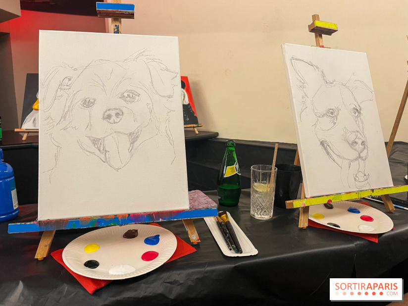 Paint your pet, l'atelier créatif pour peindre votre animal de compagnie - nos photos - image00017