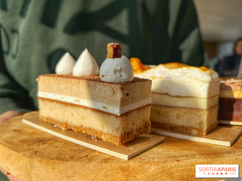 Bûches 2024 Land&Monkeys - IMG 7491