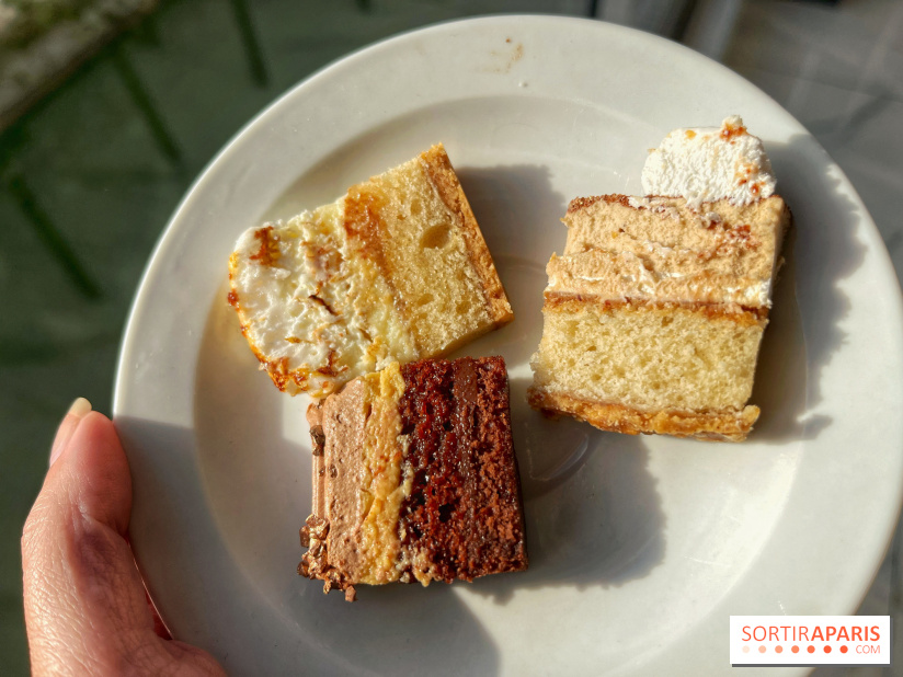 Bûches 2024 Land&Monkeys - IMG 7495