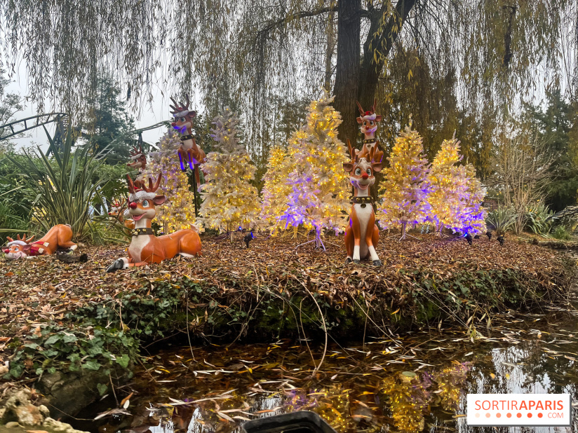 Noël au Jardin d'Acclimatation 2024  - image00007