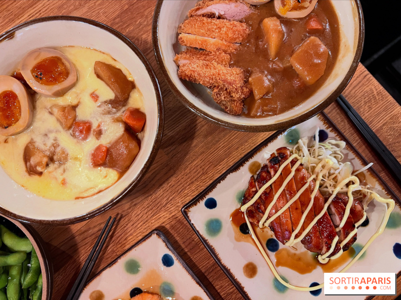 Jinchan Yokocho - Curry japonais