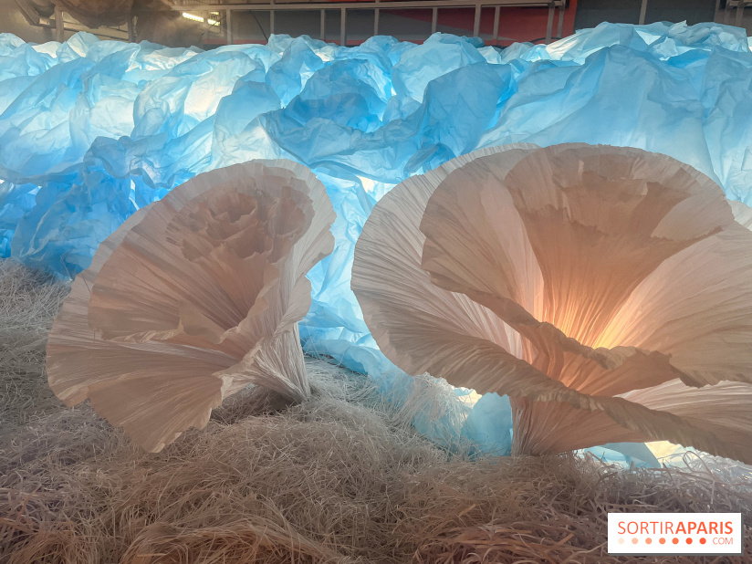 L'océan de Léa, l'exposition événement à la patinoire de Saint-Ouen - nos photos - image00044