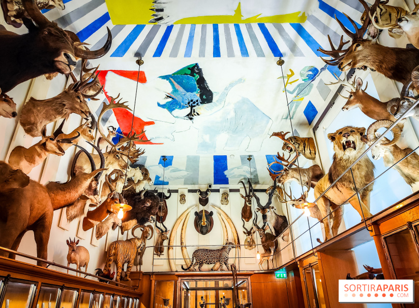 Musée de la chasse et de la nature - collections permanentes et visuels