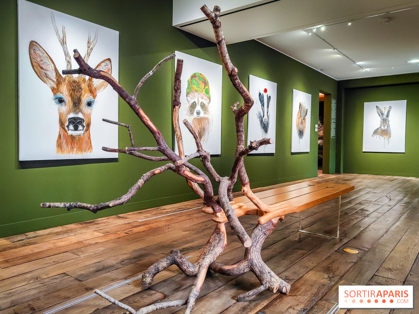 S'éclairer sans fin : l'exposition poétique d'Edi Dubien au musée de la Chasse et de la Nature - photos - IMG20241209153703