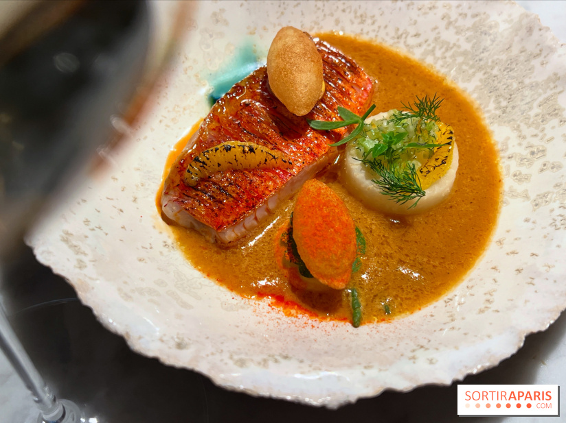 Virtus - Rouget à la flamme