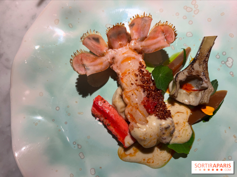 Virtus - Langoustine au sarrasin