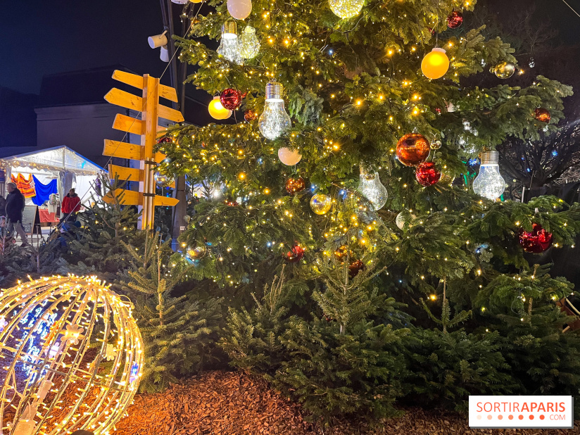 Bel Hiver Saint-Denis 2024 - nos photos - image00005