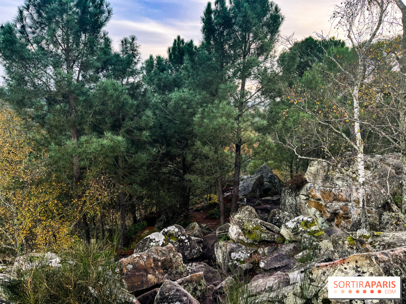 Les 25 bosses - photos - image00081