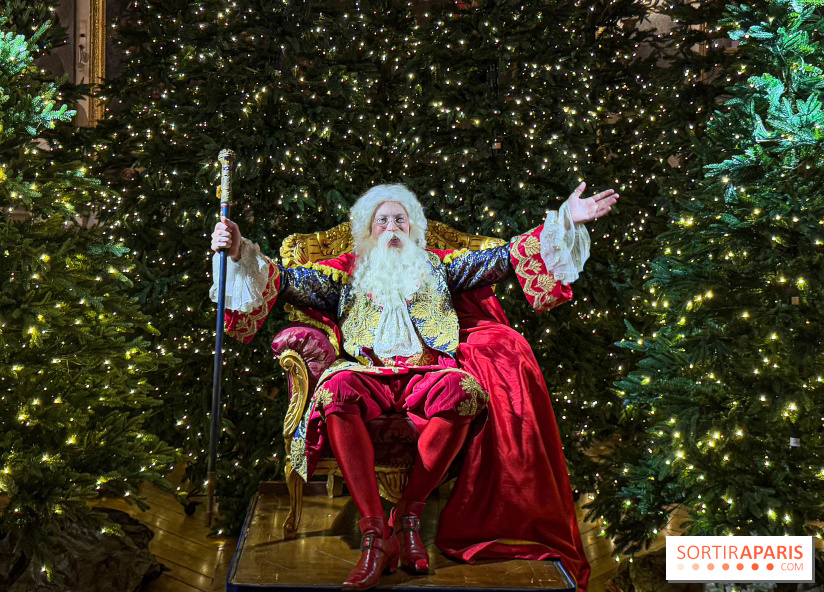Le Parcours du Roi, la visite-spectacle de Noël 2024 du Château de Versailles - FullSizeRender 29
