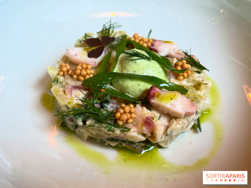 Kalank - Salade fenouil et poulpe