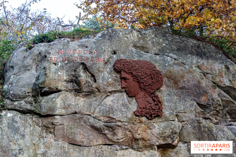 Randonnée à Fontainebleau : le sentier sur les pas de Denecourt jusqu’à la Tour Denecourt - A7C7555