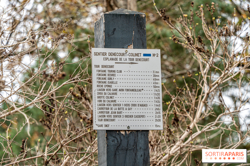 Randonnée à Fontainebleau : le sentier sur les pas de Denecourt jusqu’à la Tour Denecourt