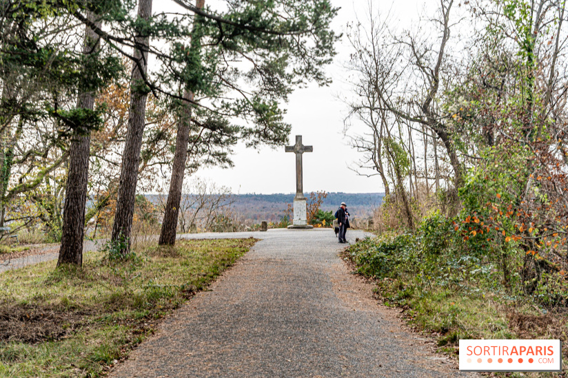 Randonnée à Fontainebleau : le sentier sur les pas de Denecourt jusqu’à la Tour Denecourt - A7C7618