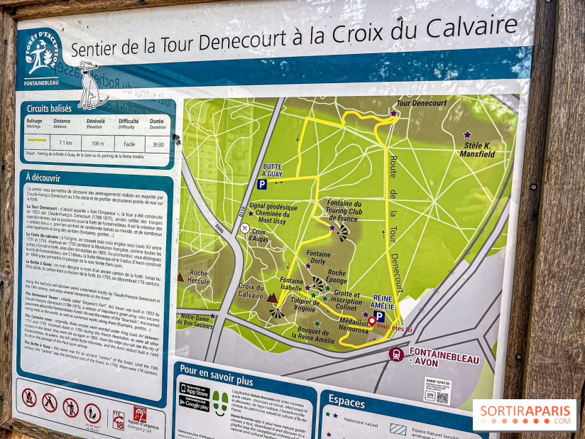 Randonnée à Fontainebleau : le sentier sur les pas de Denecourt jusqu’à la Tour Denecourt - IMG 5442
