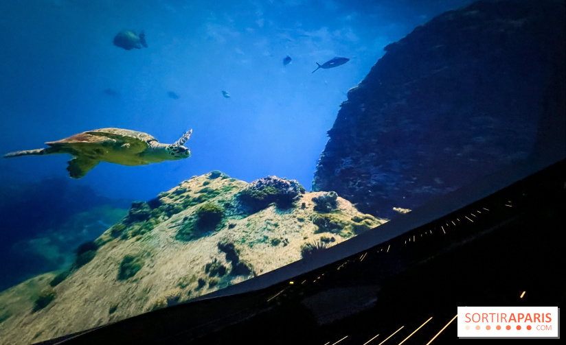 La Géode 2025 - IMG 8543 jpg