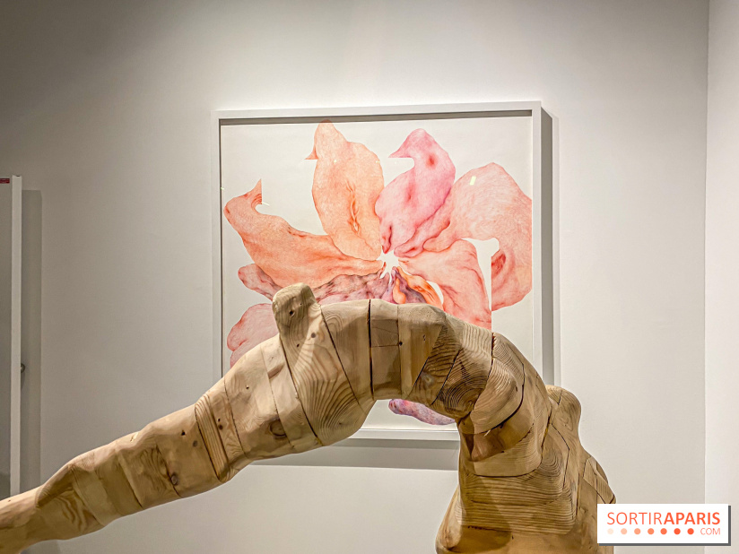 Exposition Belladone de Tatiana Wolska au Drawing Lab - IMG 2353