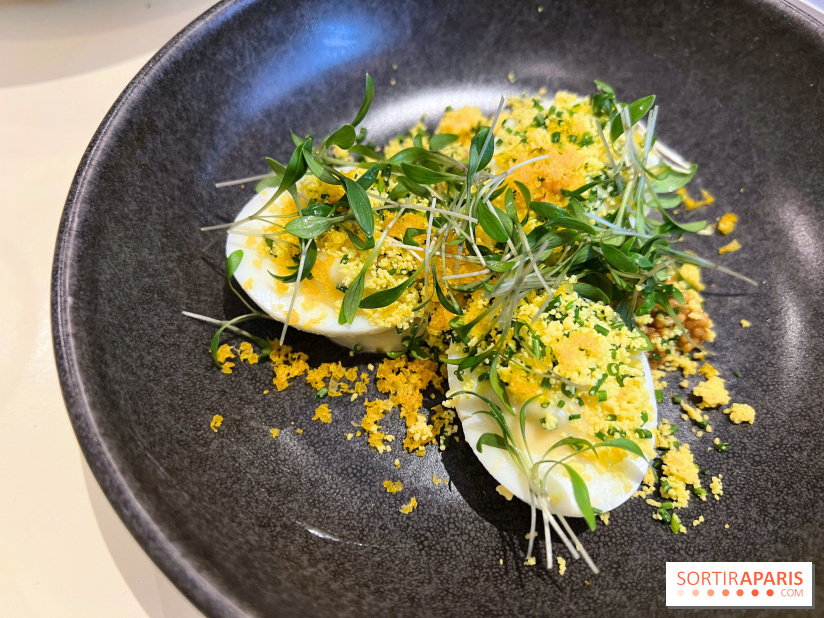 Argile - Oeufs mimosa, poutargue