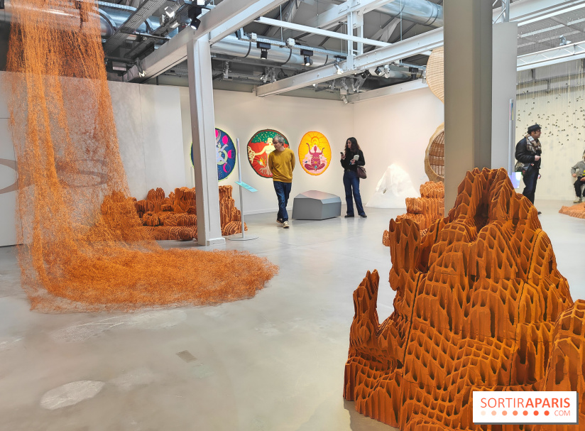 Chaosmos : une expo gratuite qui interroge notre place dans l'univers au Maif Social Club - photos - fotor 1738750122150