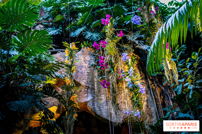 Mille et une orchidées 2025 - les photos