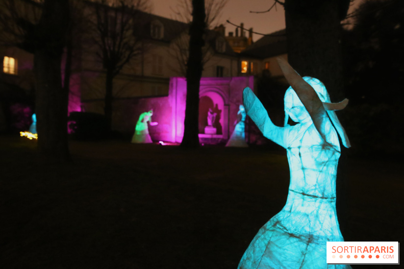 Exposition Silva Lumina au Centre Culturel Irlandais - Silva Lumina 13 fotor 2025020691830