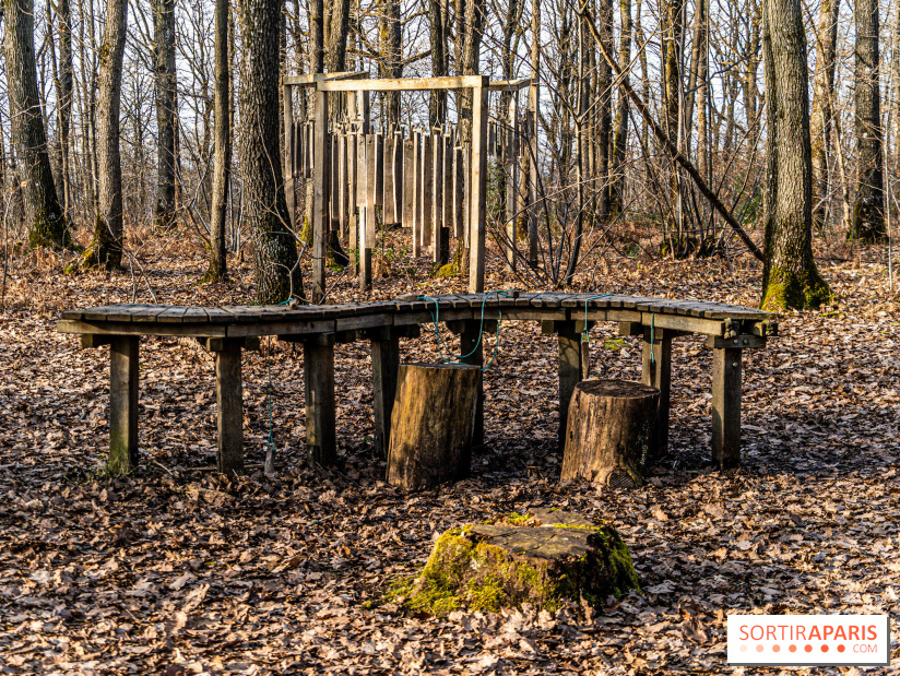 Balade sentier : Conte de Mélida, l'esprit de la forêt en forêt de Méridon (78) - A7C02314