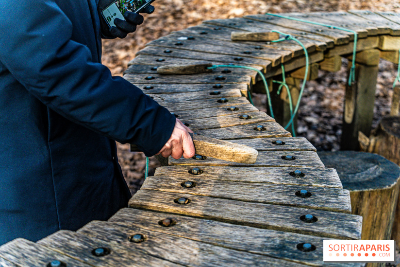 Balade sentier : Conte de Mélida, l'esprit de la forêt en forêt de Méridon (78) - A7C02316