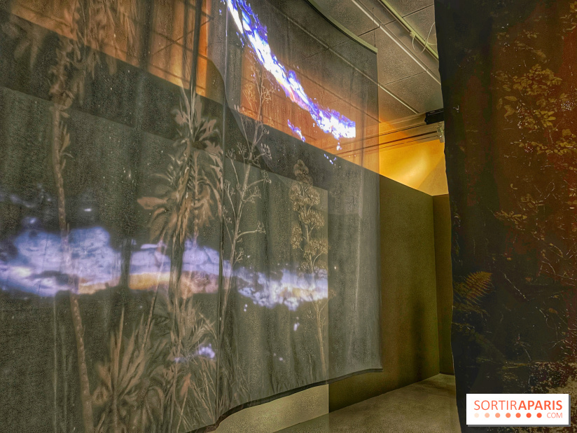 Paysages mouvants - IMG 8696