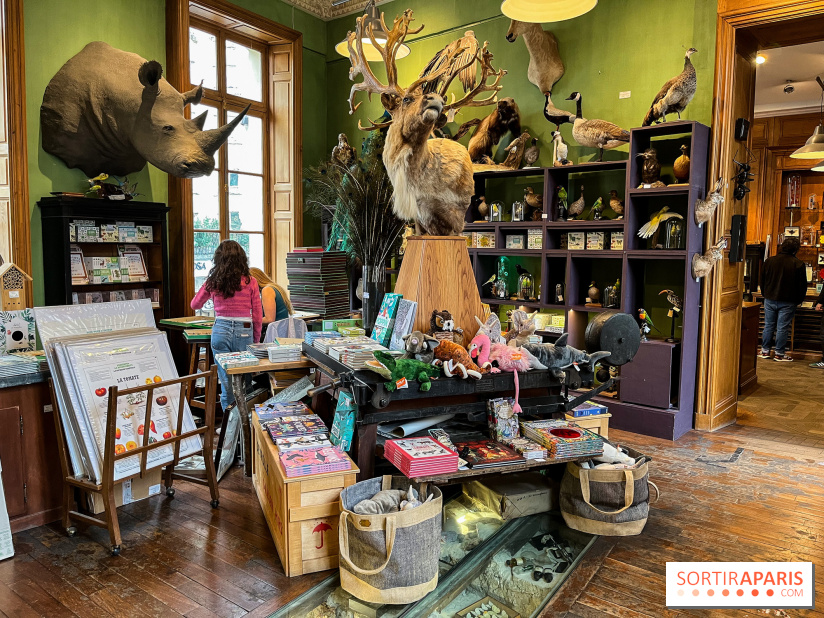 Deyrolle, l'incroyable cabinet de curiosités à Paris - nos photos