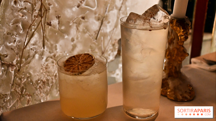 Ojii, l'excellent spot aux allures de bar tokyoïde à Paris - DSC 3538 Fotor