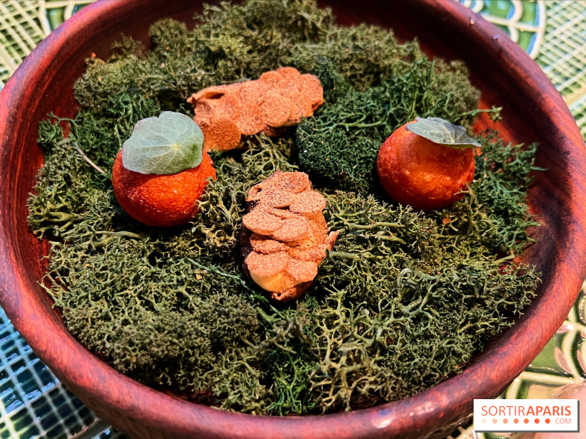 Le Christine - Topinambours soufflés, pomme dauphine