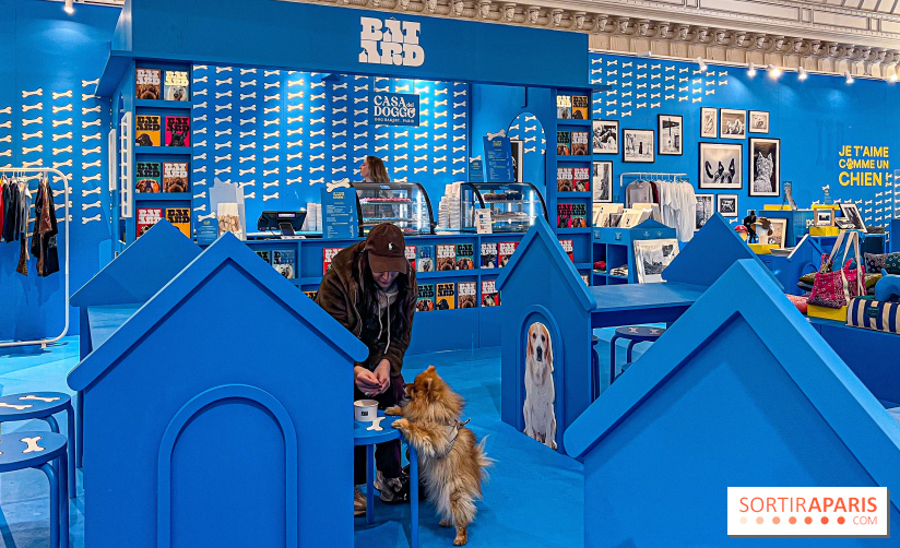 Je T'aime Comme Un Chien : food, mode, déco ... une expo qui a du chien au Bon Marché Rive Gauche - image00016
